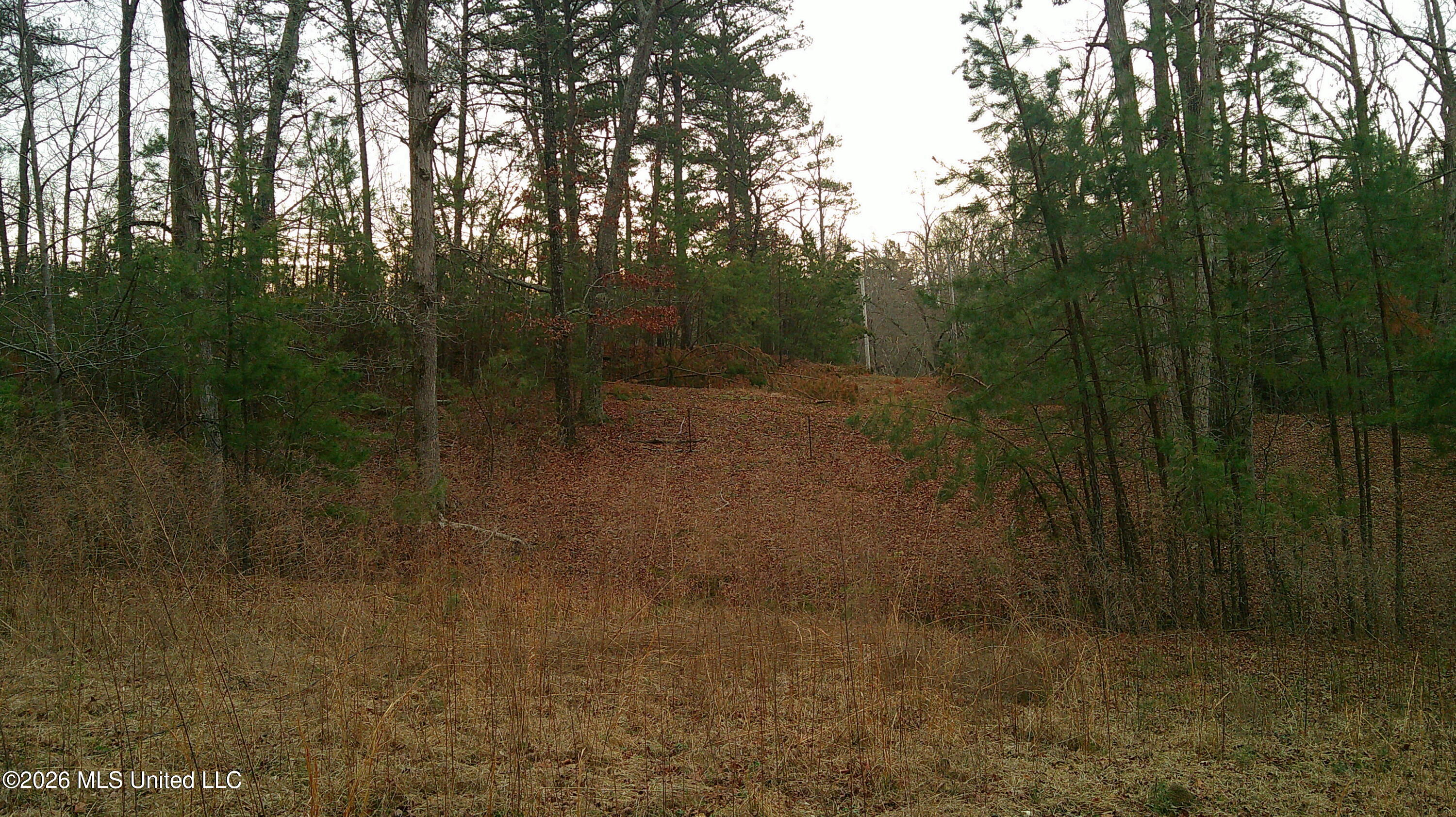 6259 Mississippi 5 Property Photo 15