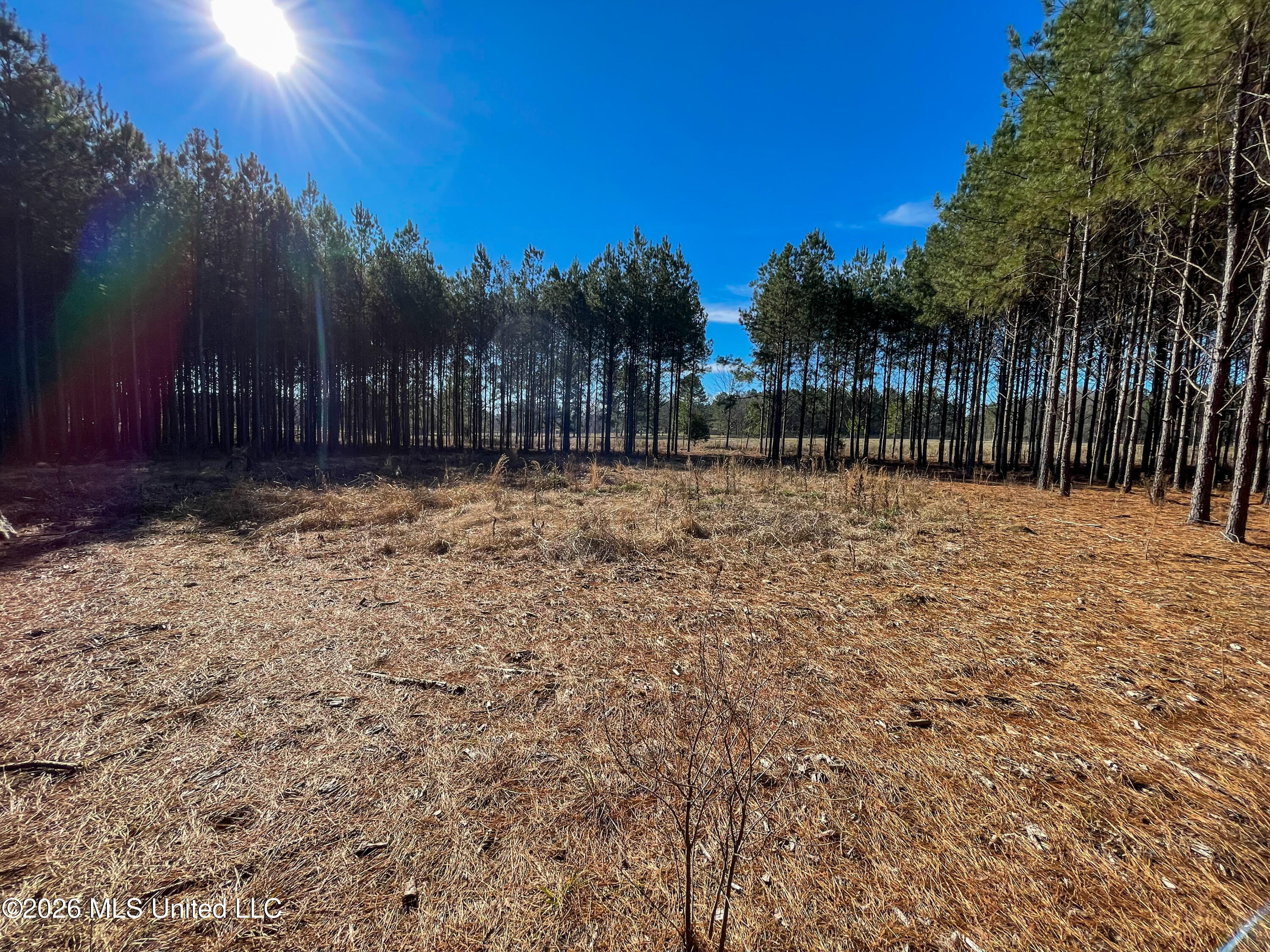 609 Barker Road Property Photo 3
