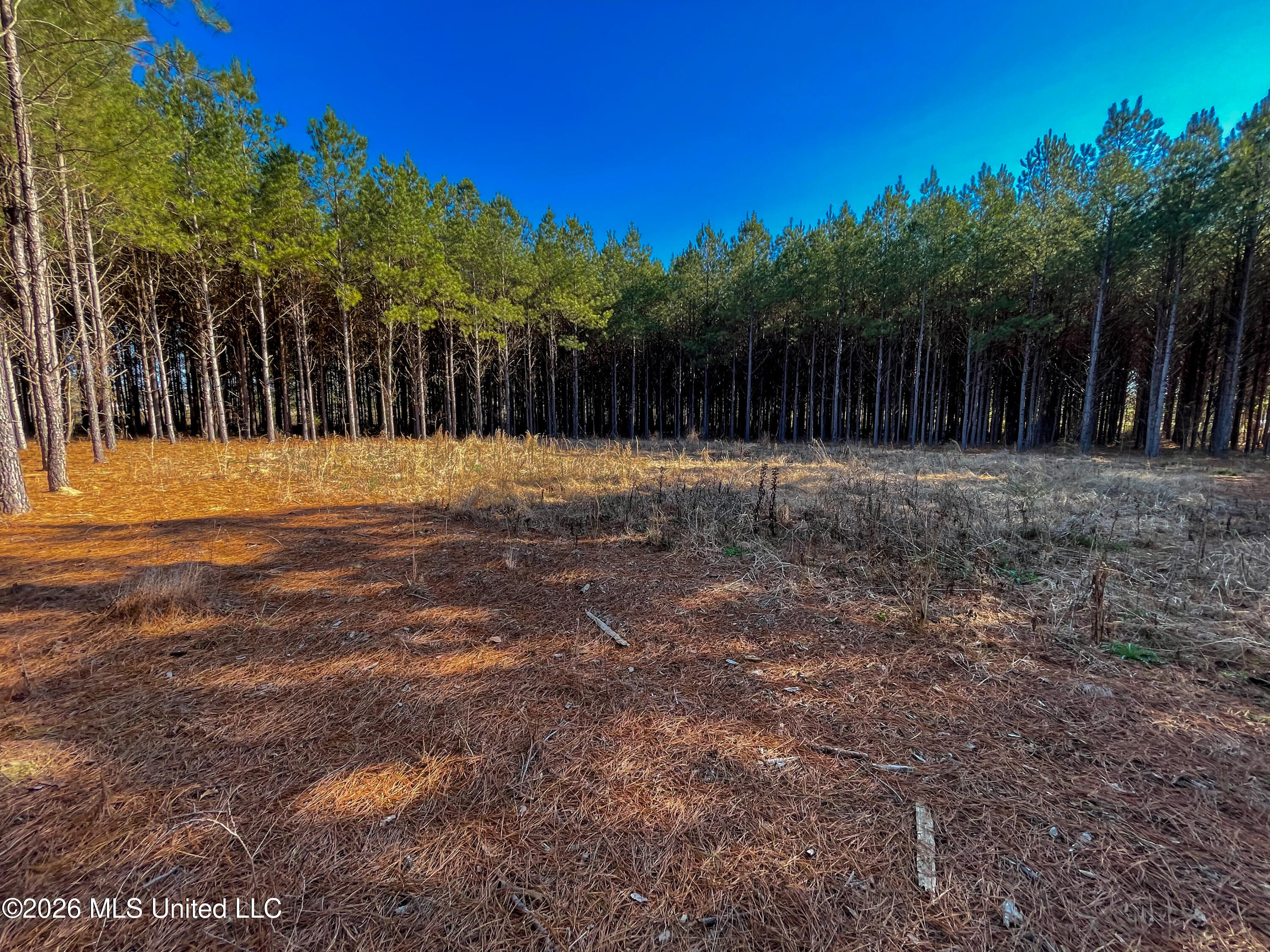 609 Barker Road Property Photo 4