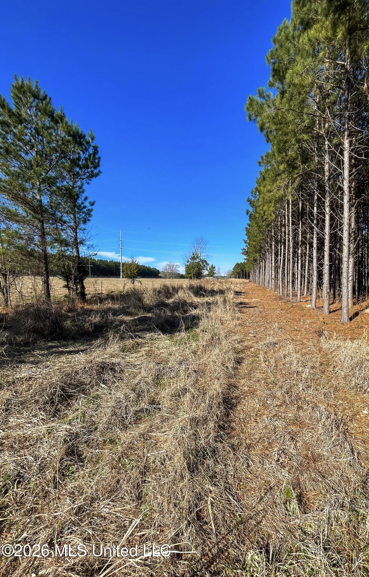 609 Barker Road Property Photo 5