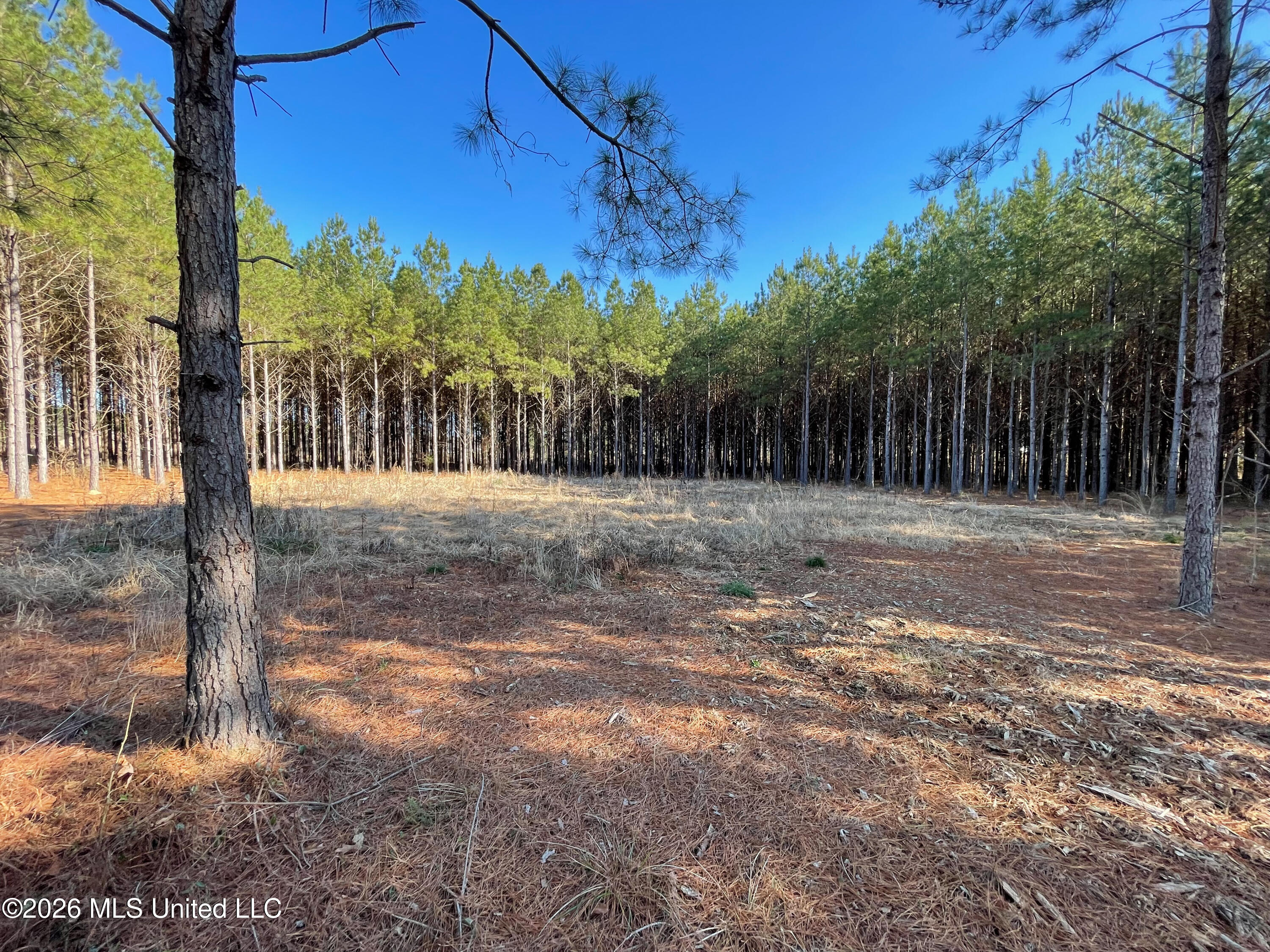 609 Barker Road Property Photo 8