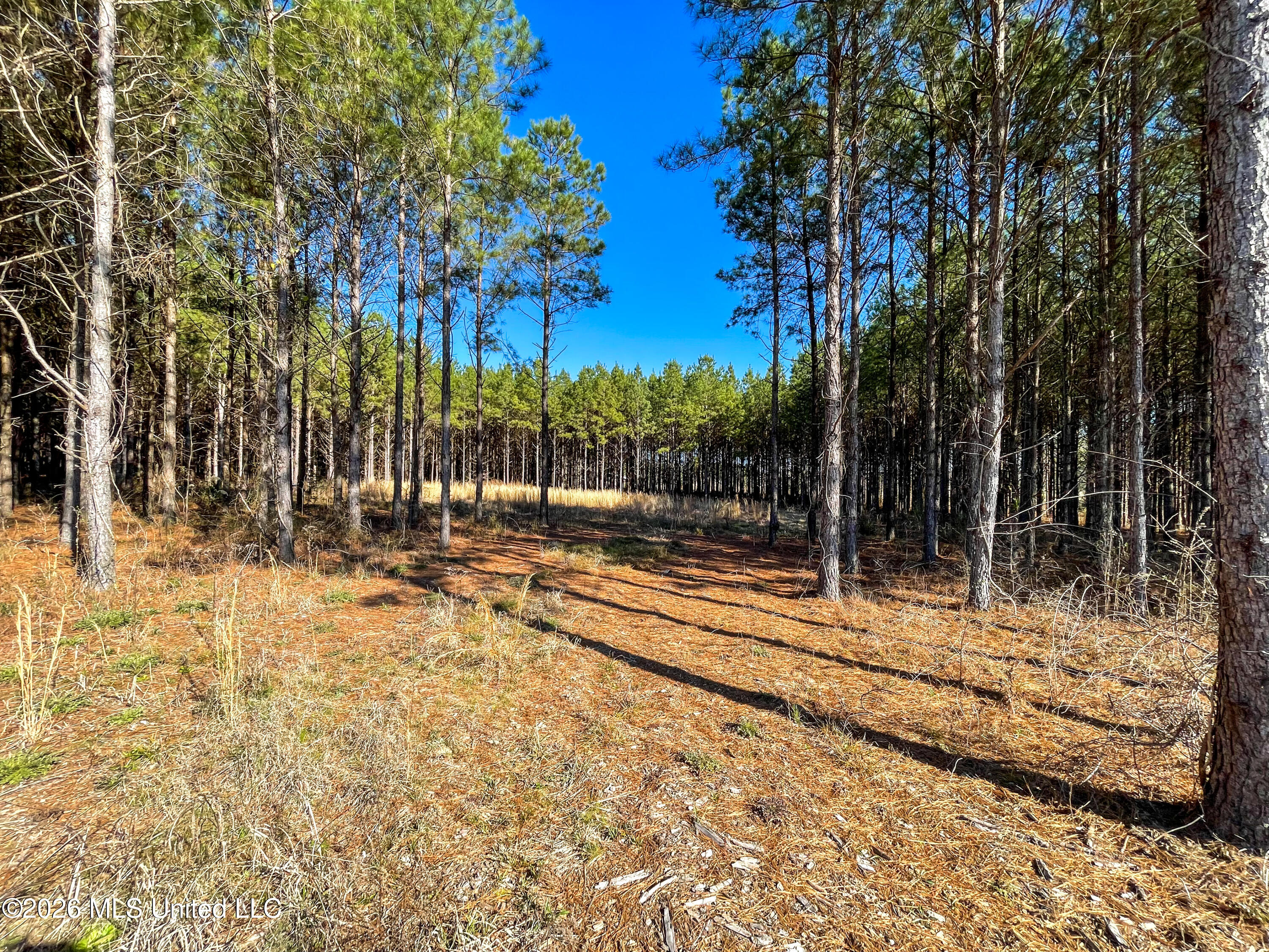609 Barker Road Property Photo 10