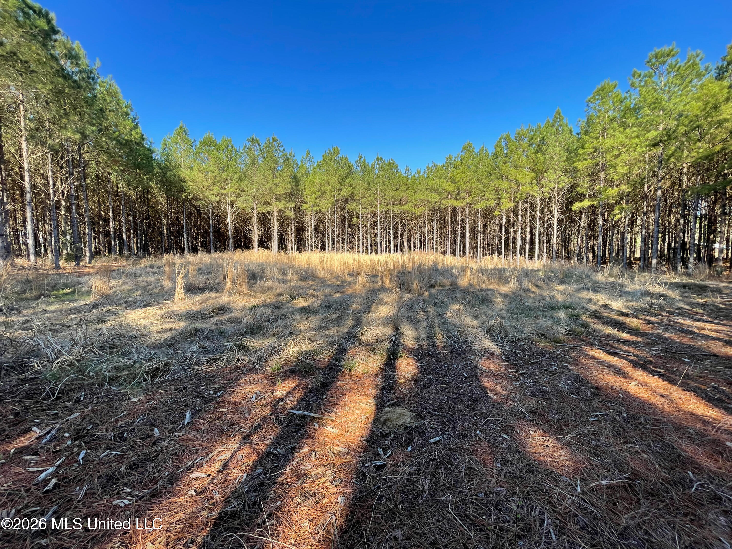 609 Barker Road Property Photo 11
