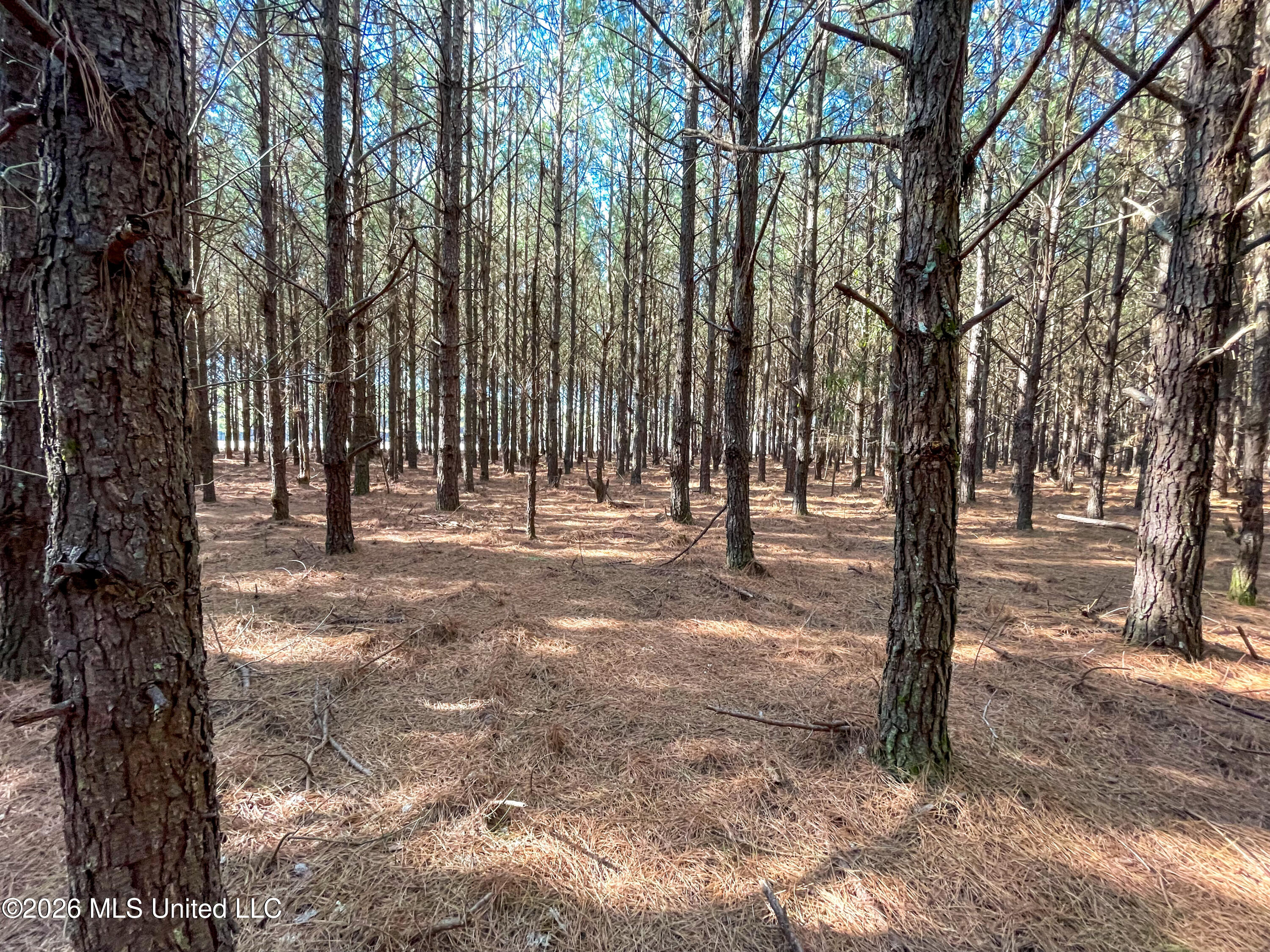609 Barker Road Property Photo 12