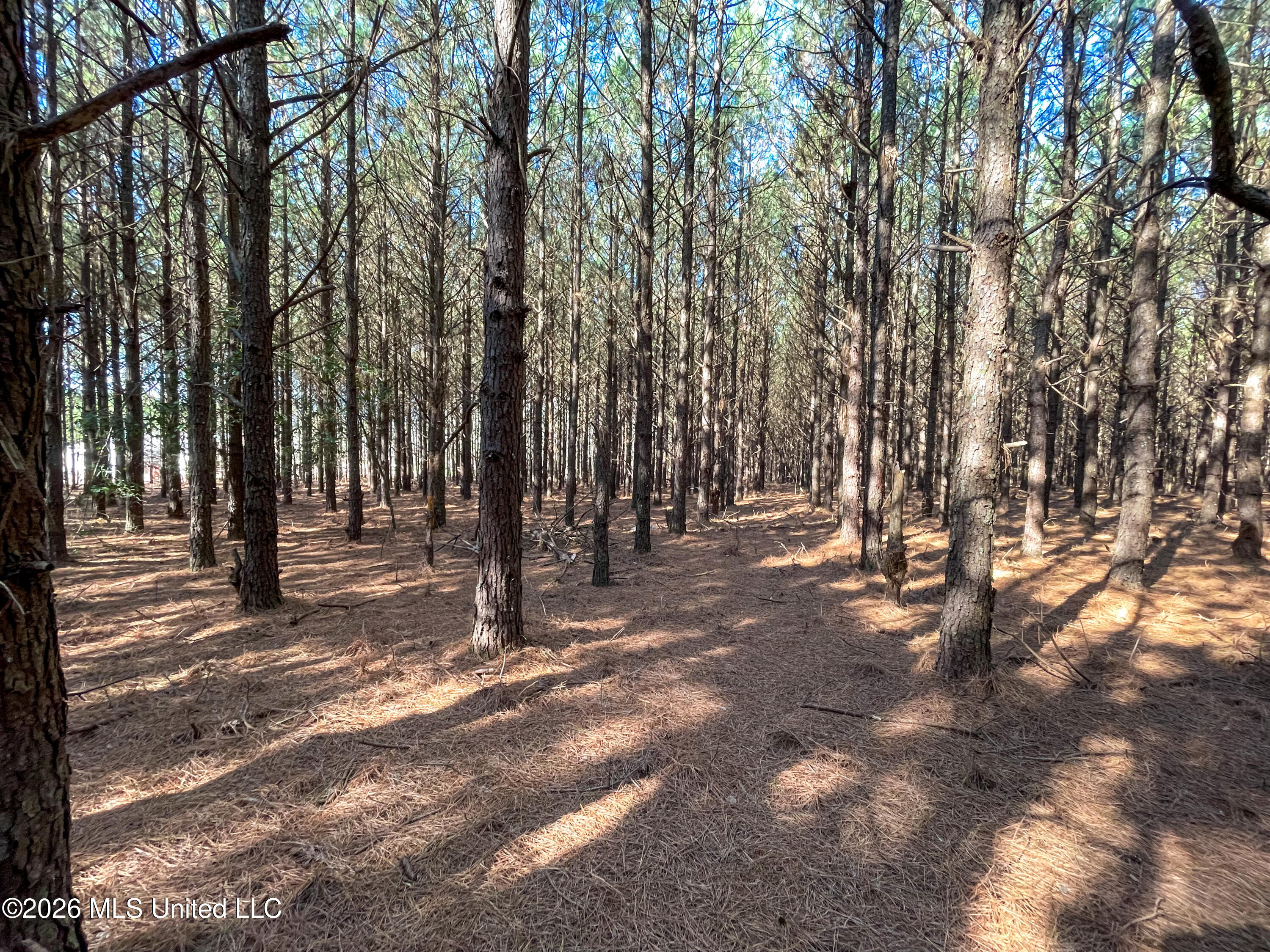 609 Barker Road Property Photo 13