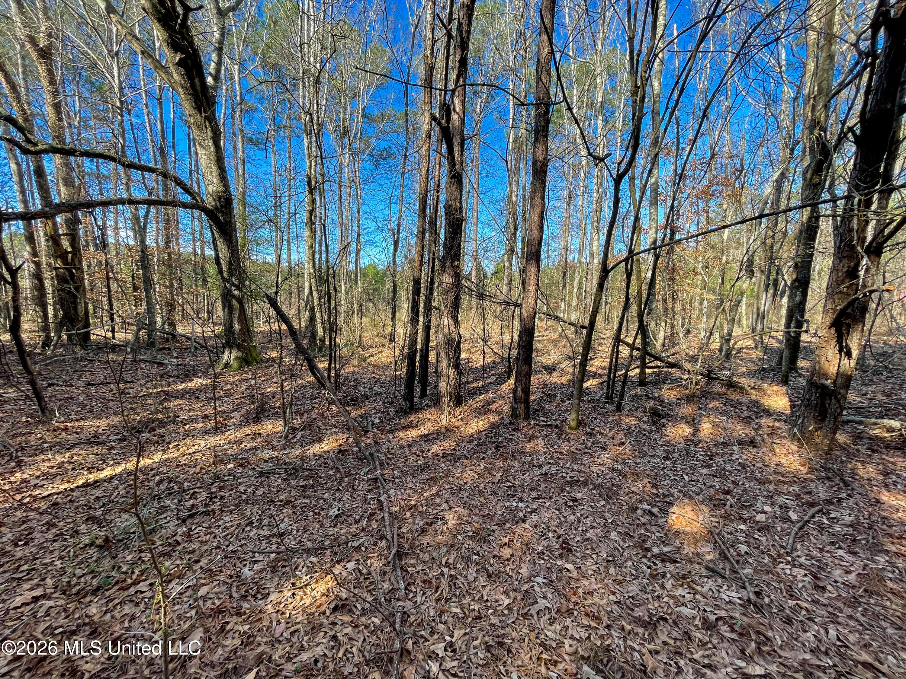 609 Barker Road Property Photo 14