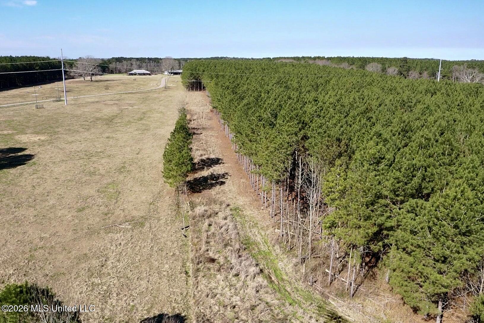 609 Barker Road Property Photo 16