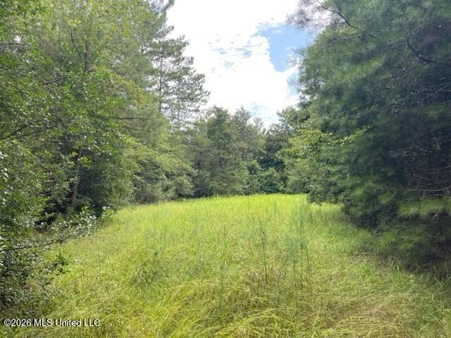0 Highway 439 Property Photo 1