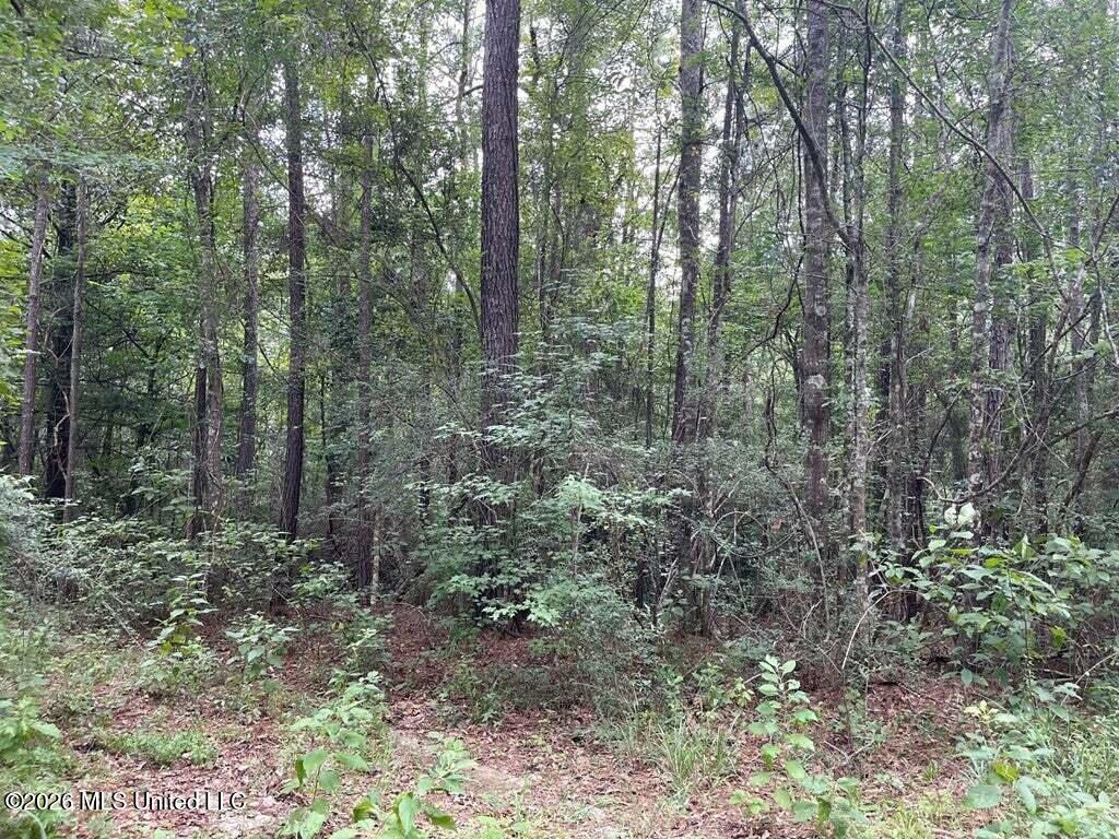 0 Highway 439 Property Photo 2