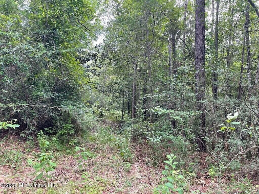 0 Highway 439 Property Photo 3