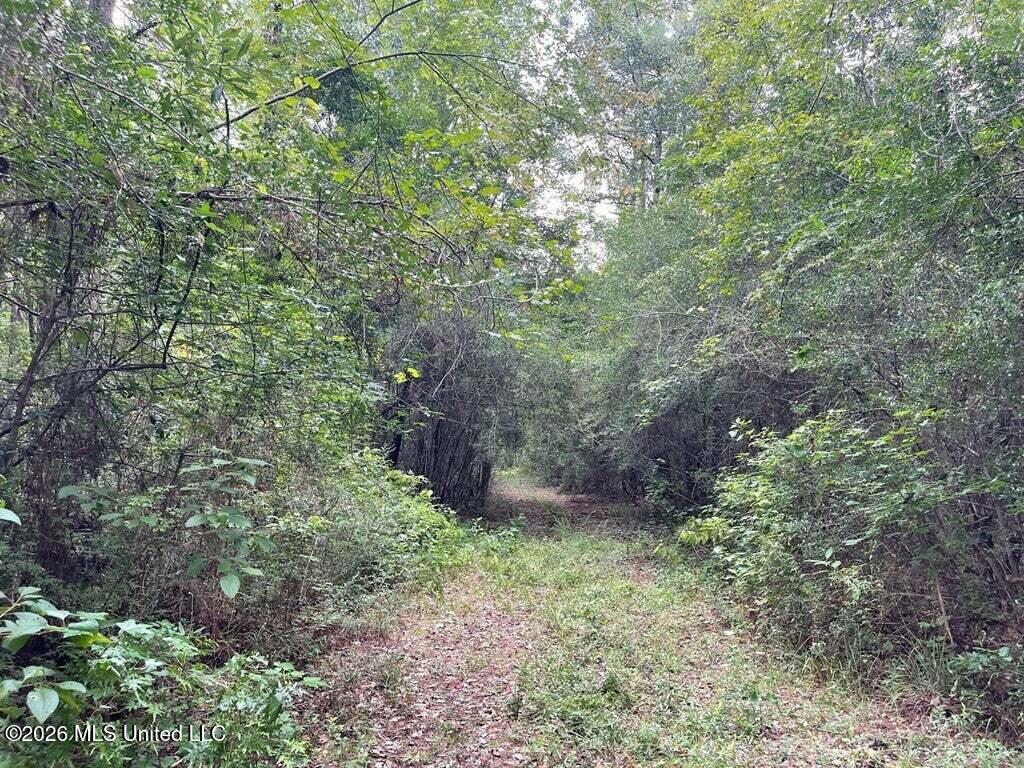 0 Highway 439 Property Photo 4