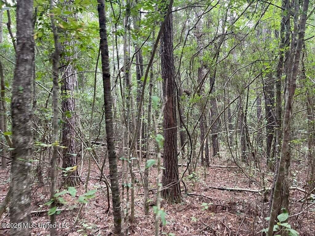 0 Highway 439 Property Photo 5