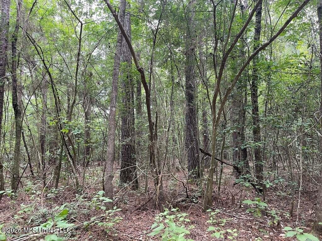 0 Highway 439 Property Photo 6