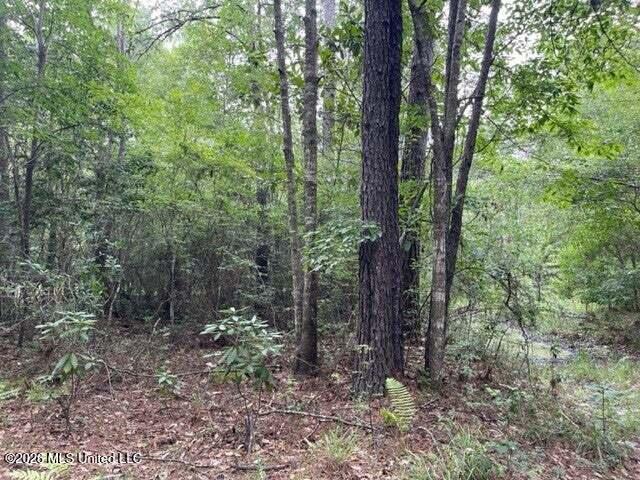 0 Highway 439 Property Photo 7