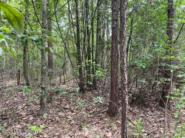 0 Highway 439 Property Photo 8
