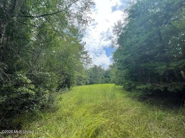 0 Highway 439 Property Photo 9