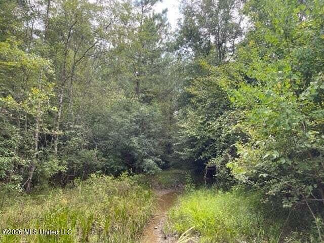 0 Highway 439 Property Photo 10