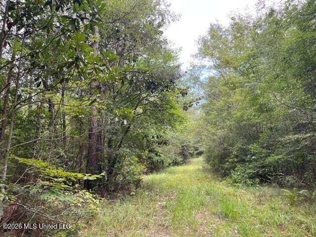 0 Highway 439 Property Photo 11
