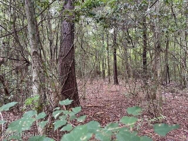 0 Highway 439 Property Photo 12