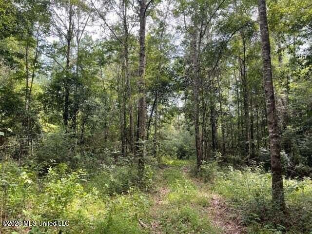 0 Highway 439 Property Photo 13