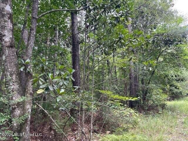 0 Highway 439 Property Photo 14