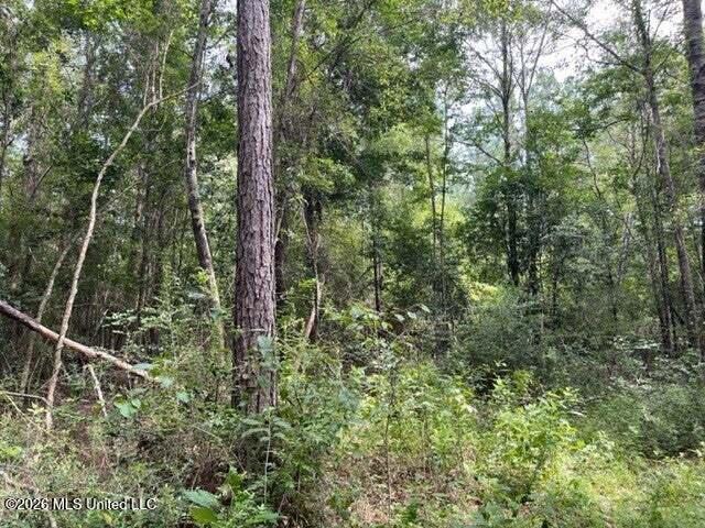 0 Highway 439 Property Photo 15