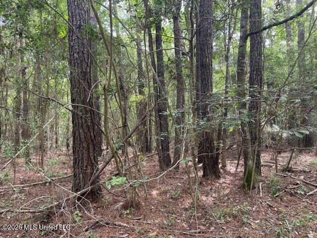 0 Highway 439 Property Photo 16