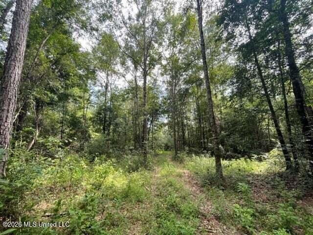 0 Highway 439 Property Photo 17