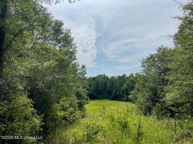 0 Highway 439 Property Photo 18