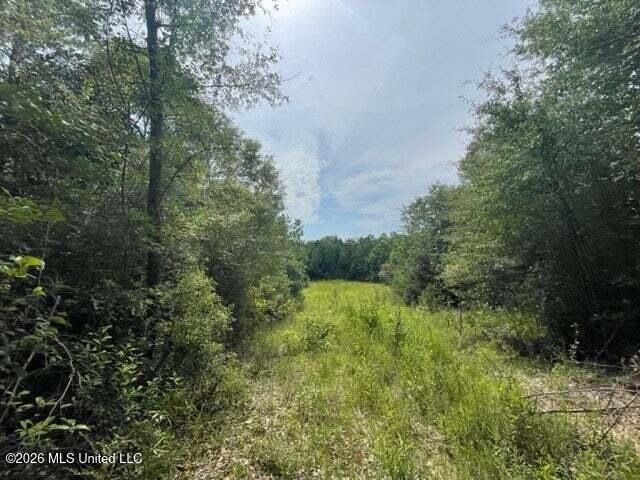 0 Highway 439 Property Photo 19