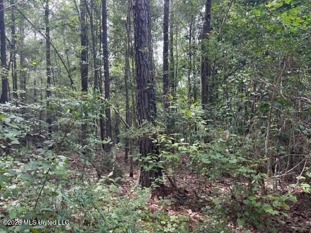 0 Highway 439 Property Photo 21
