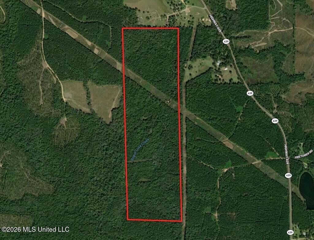 0 Highway 439 Property Photo 22