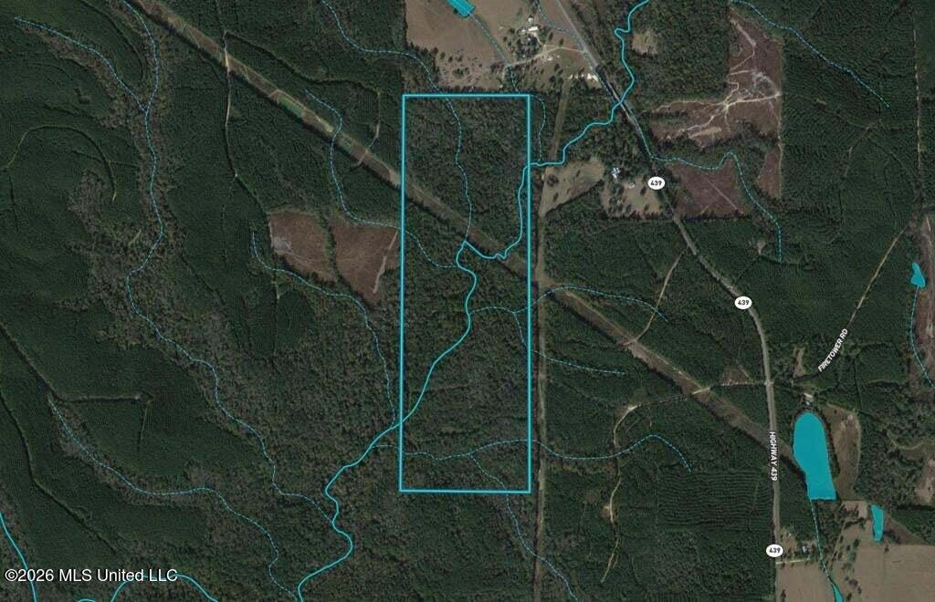 0 Highway 439 Property Photo 23