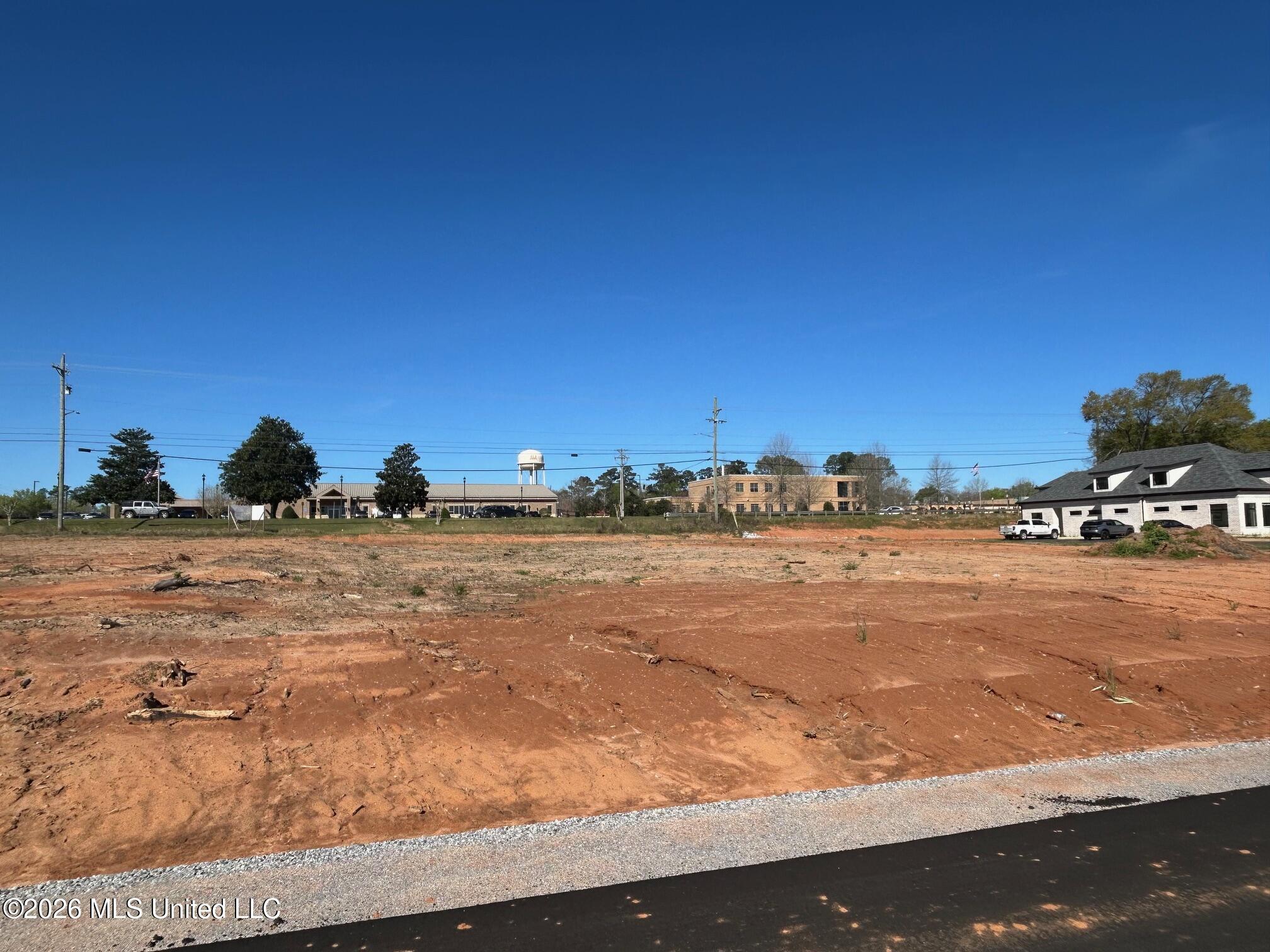Old Highway 63 S Parcel 2 Property Photo 2