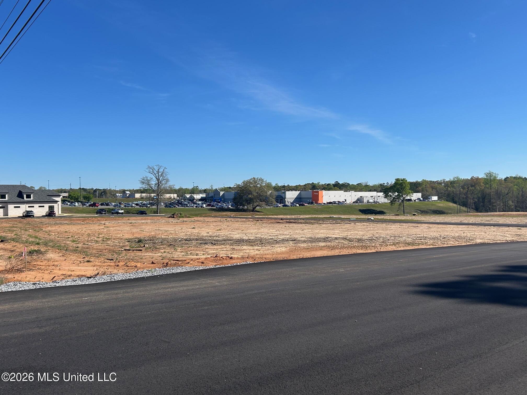 Old Highway 63 S Parcel 3 Property Photo 1