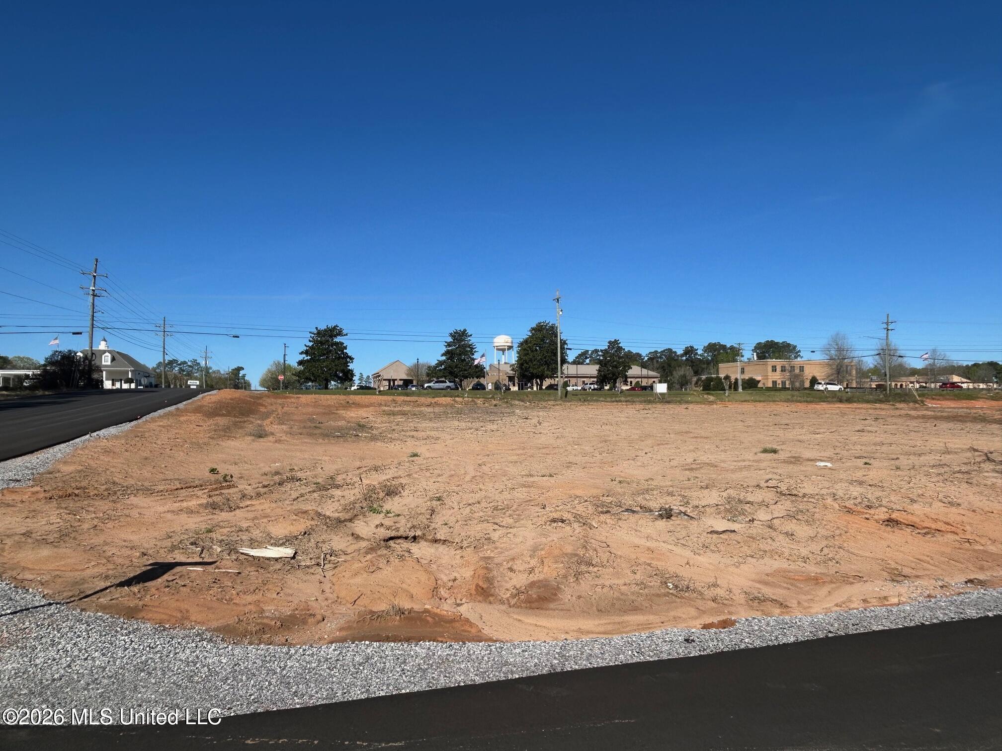 Old Highway 63 S Parcel 3 Property Photo 2