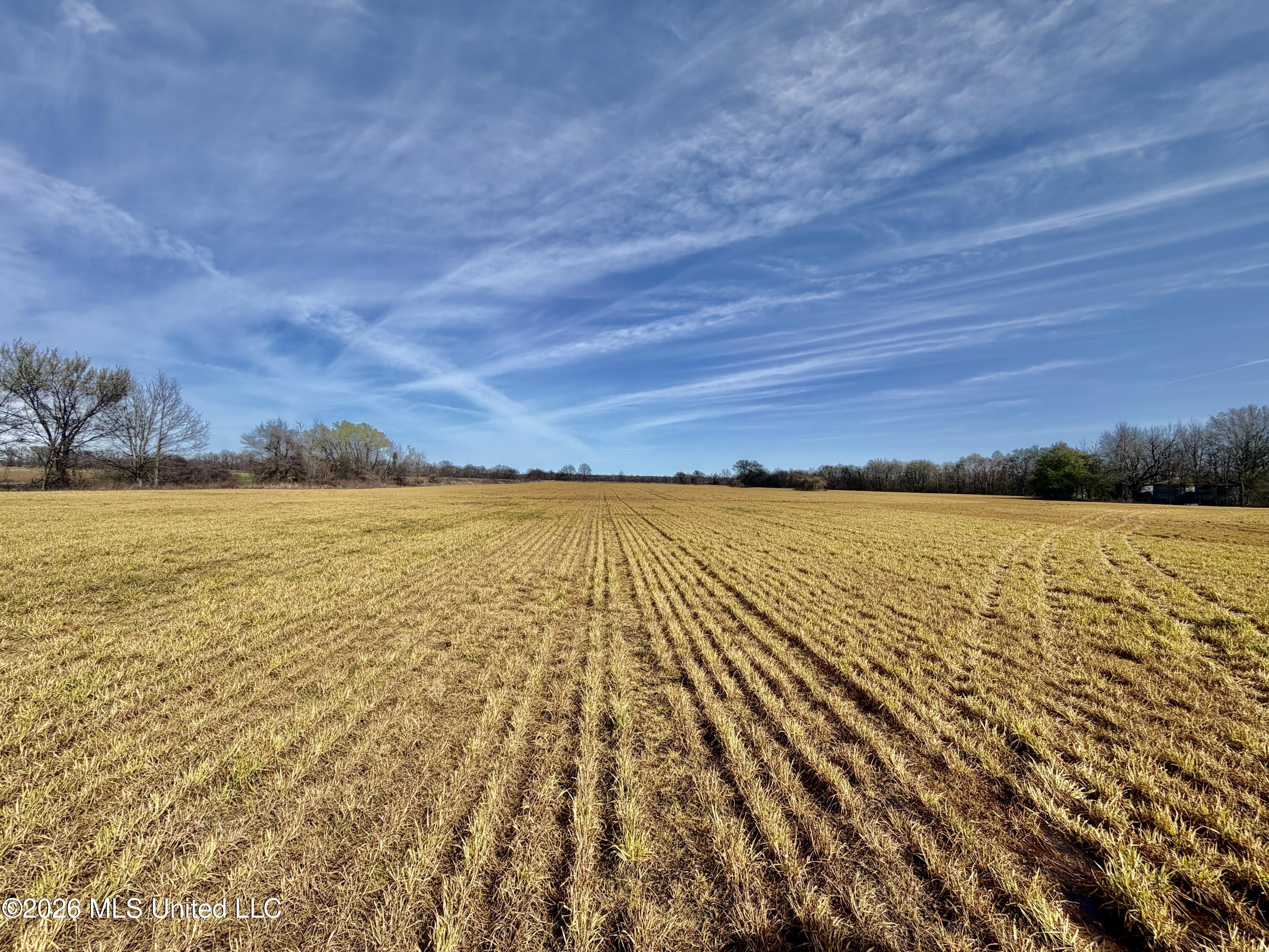 4926 S Highway 61 Property Photo 12