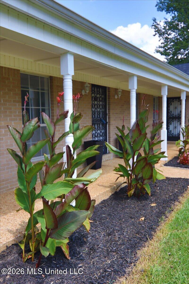 5656 Coleman Road Property Photo 6
