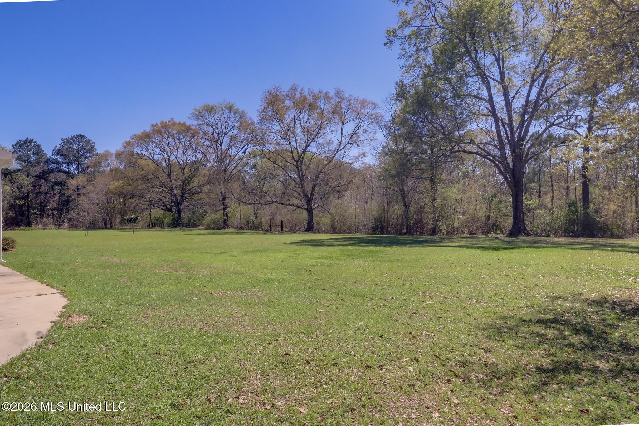 195 Pinecrest Drive Property Photo 35