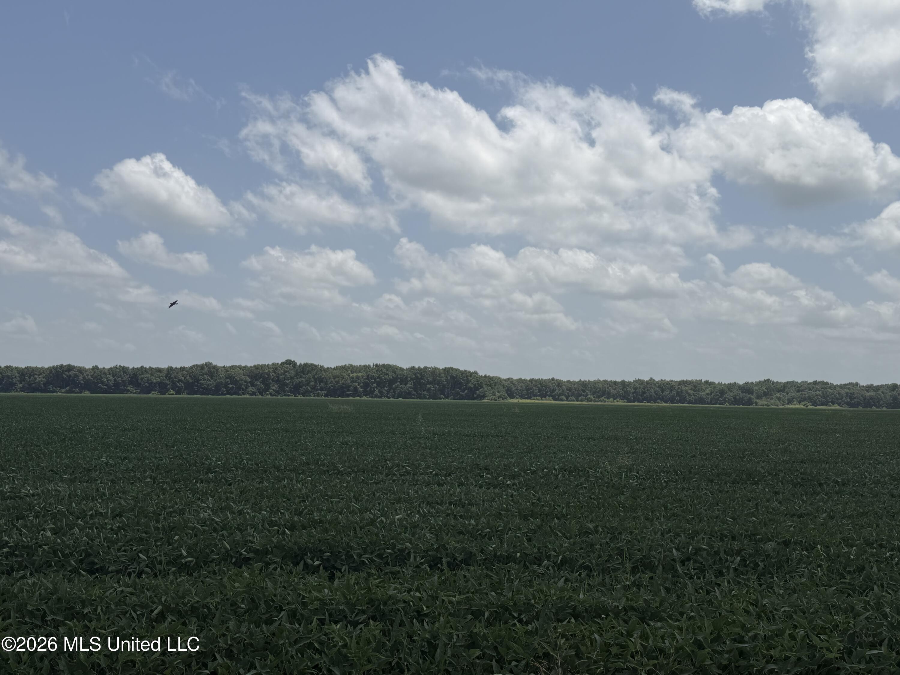 Airport Road Property Photo 3