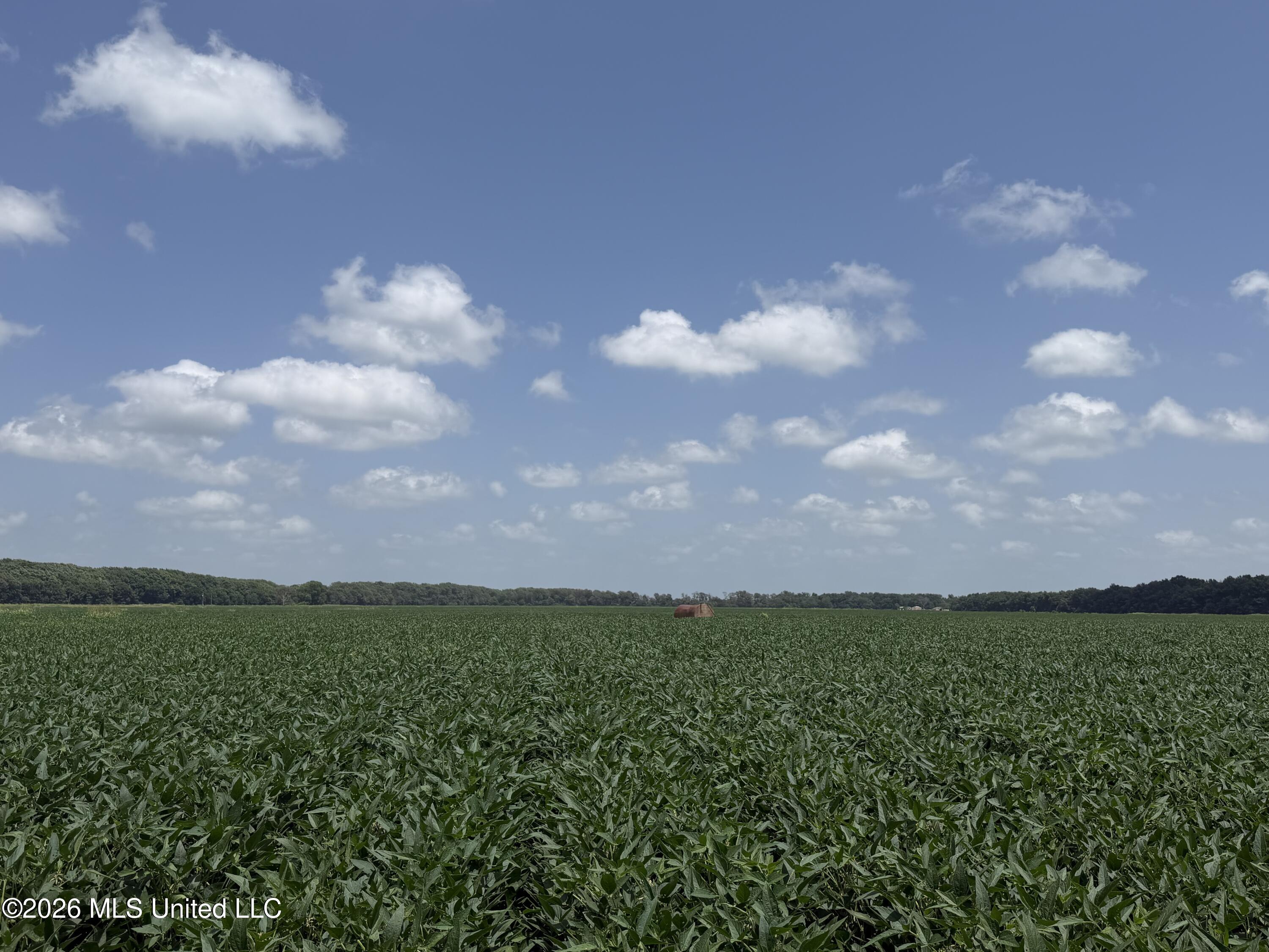 Airport Road Property Photo 5
