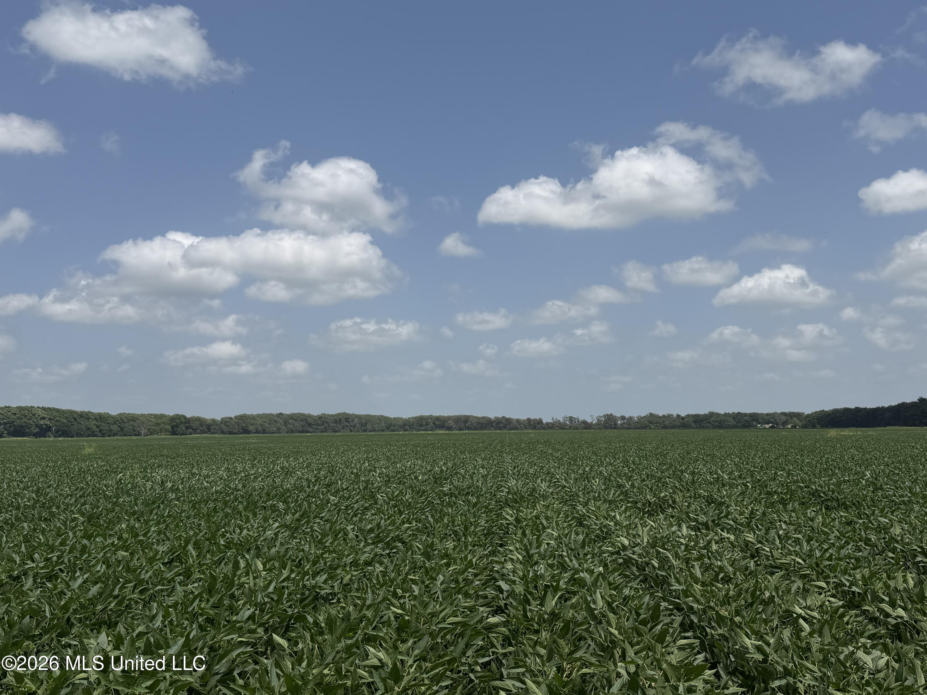 Airport Road Property Photo 6