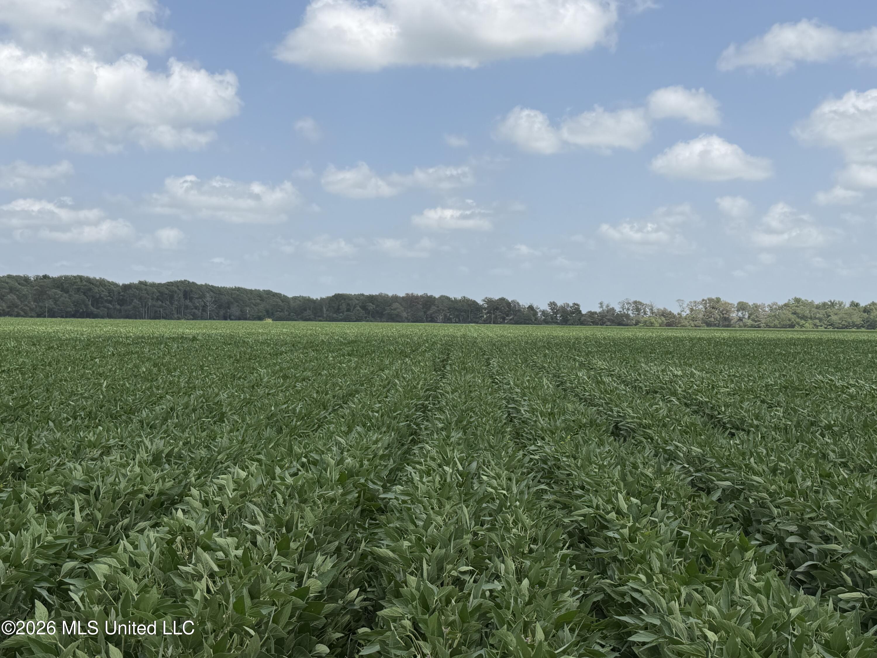 Airport Road Property Photo 8