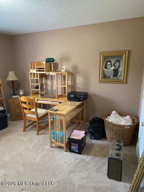 1268 S Lake Drive Property Photo 32