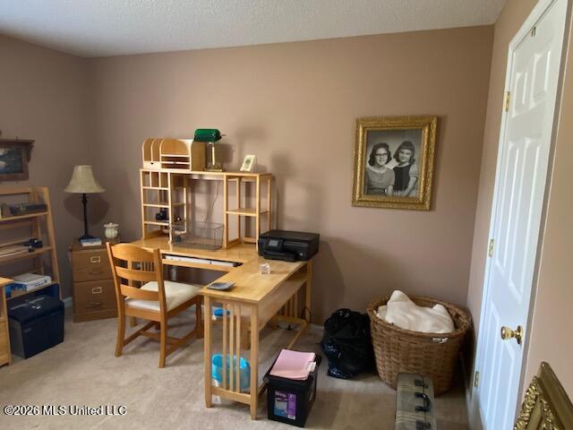 1268 S Lake Drive Property Photo 33