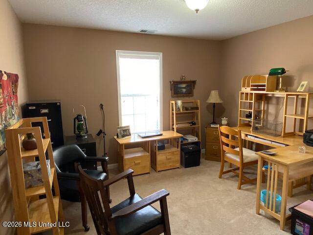 1268 S Lake Drive Property Photo 34