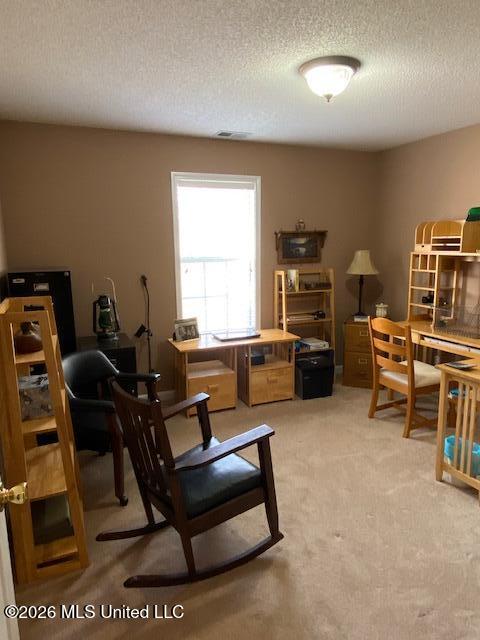 1268 S Lake Drive Property Photo 35