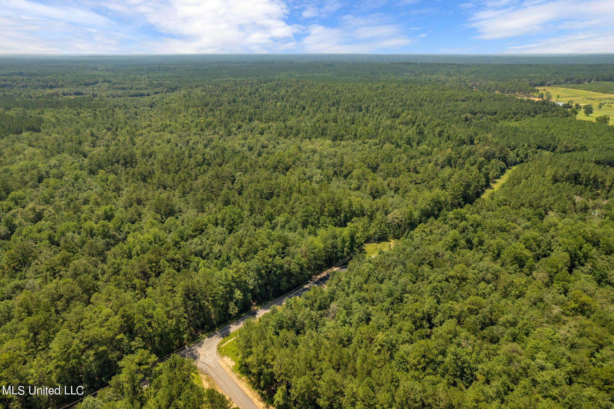 293 Acres Scruggs Road Property Photo 4