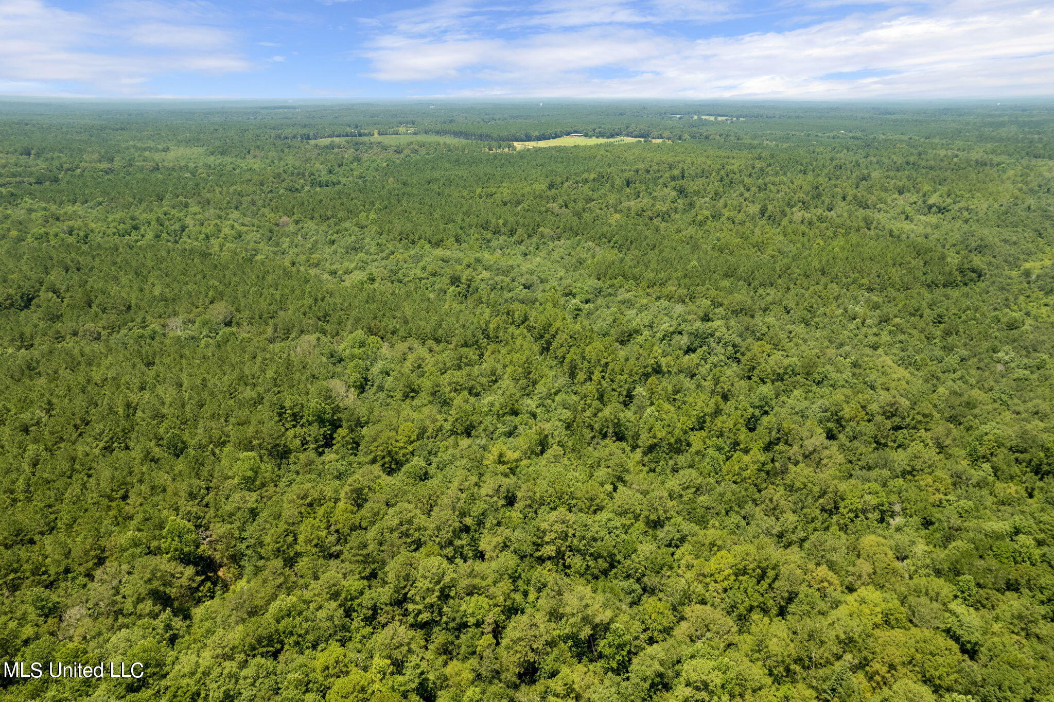 293 Acres Scruggs Road Property Photo 6