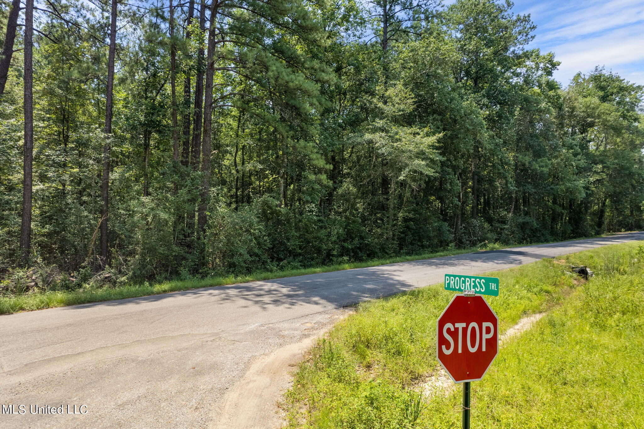 293 Acres Scruggs Road Property Photo 11